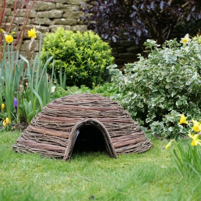 Dome Hedgehog House