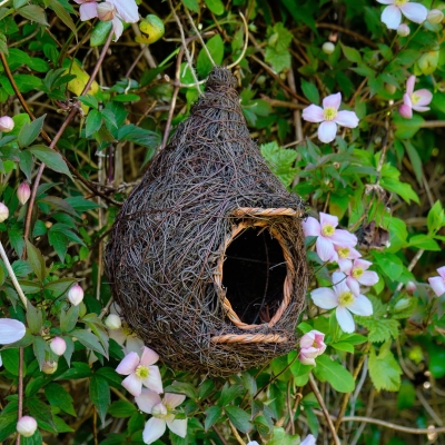 Giant Robin Nest Pocket