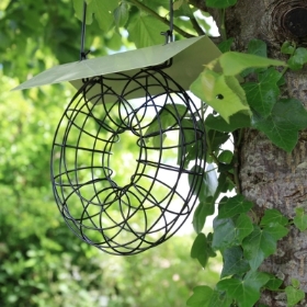 Doughnut Suet Ball Bird Feeder